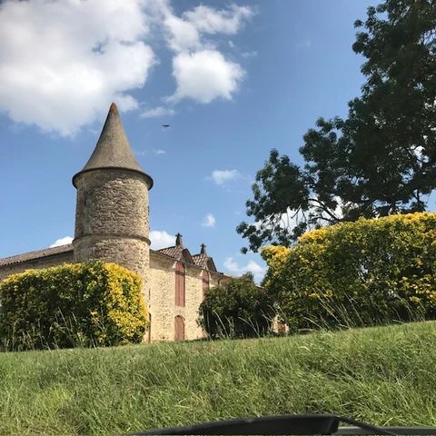 Château Gravelines — photo 2