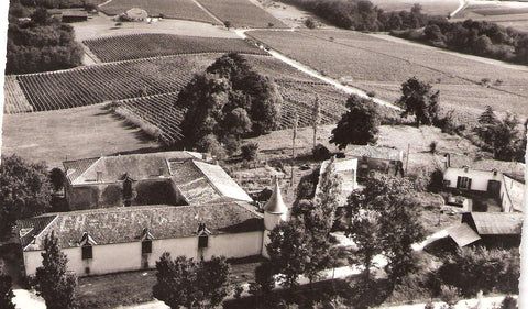 Château Gravelines — photo 5