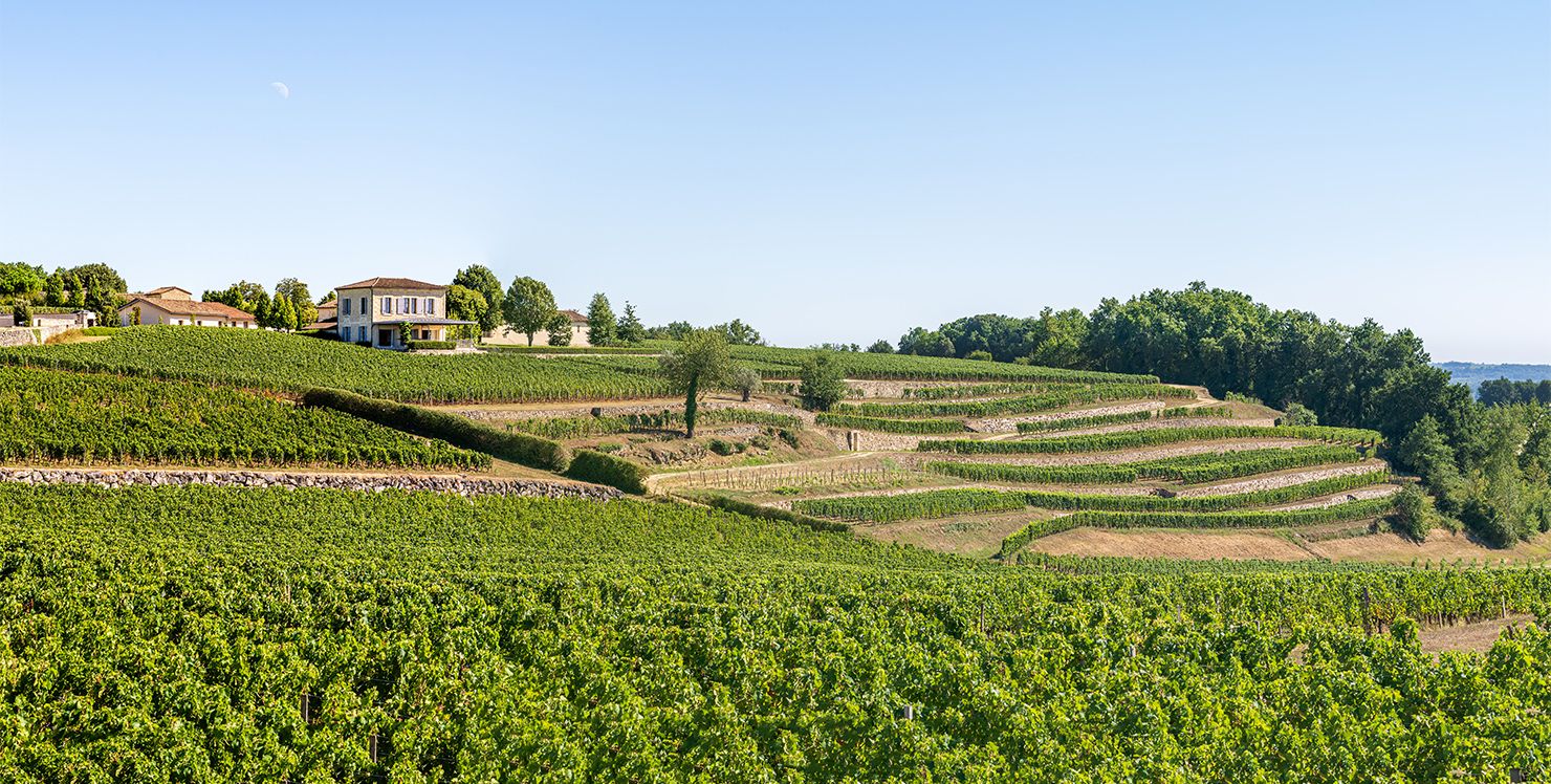 Château Tour Saint-Christophe - Saint-Émilion Grand Cru