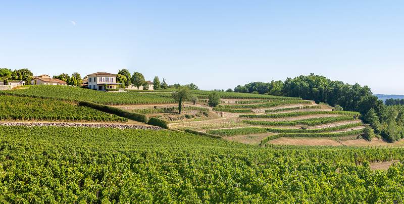 Château Tour Saint-Christophe - Saint-Émilion Grand Cru