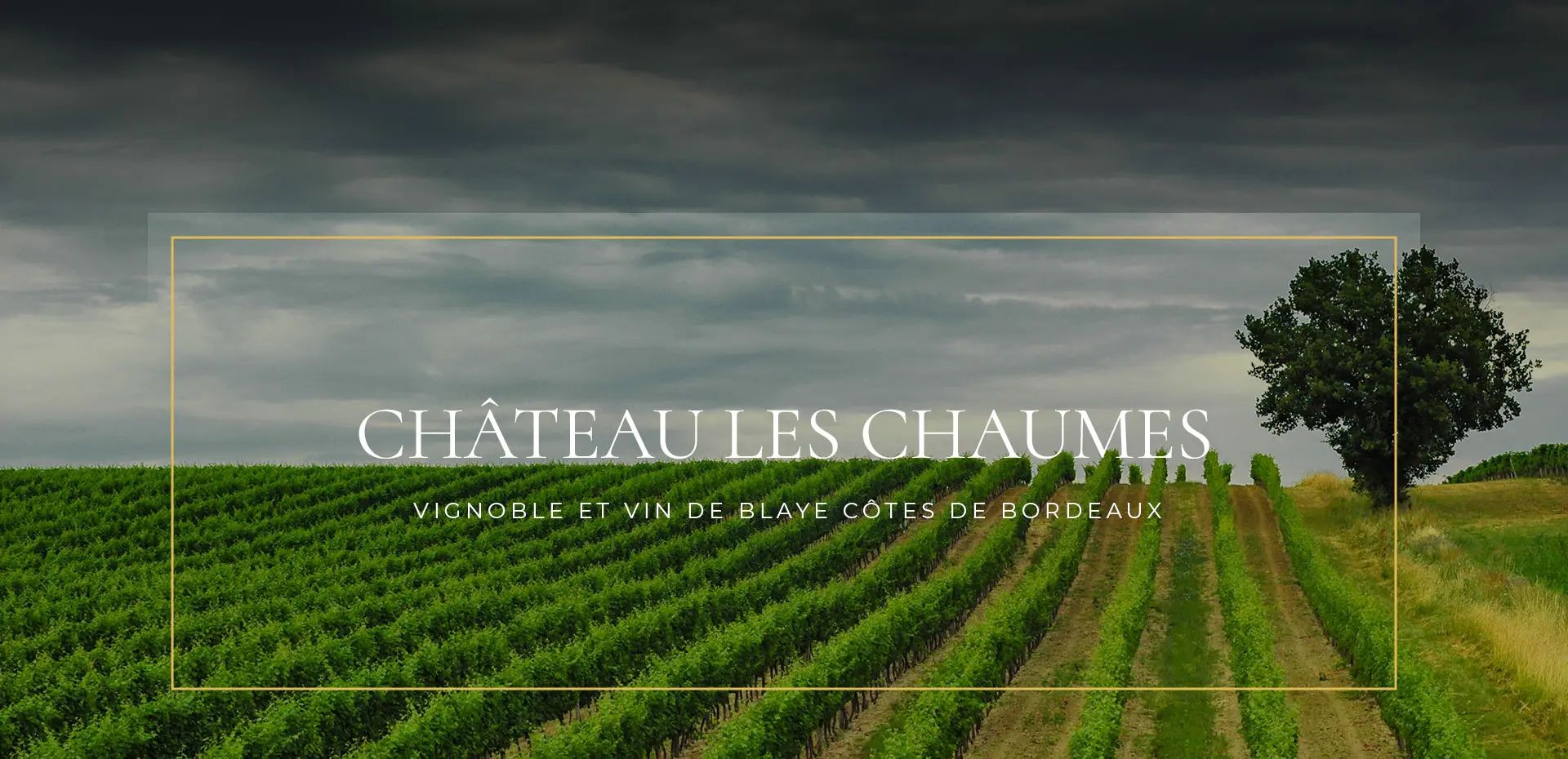 Château les Chaumes — photo 4