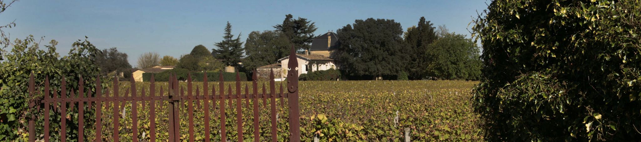 Vendange au Château Liot