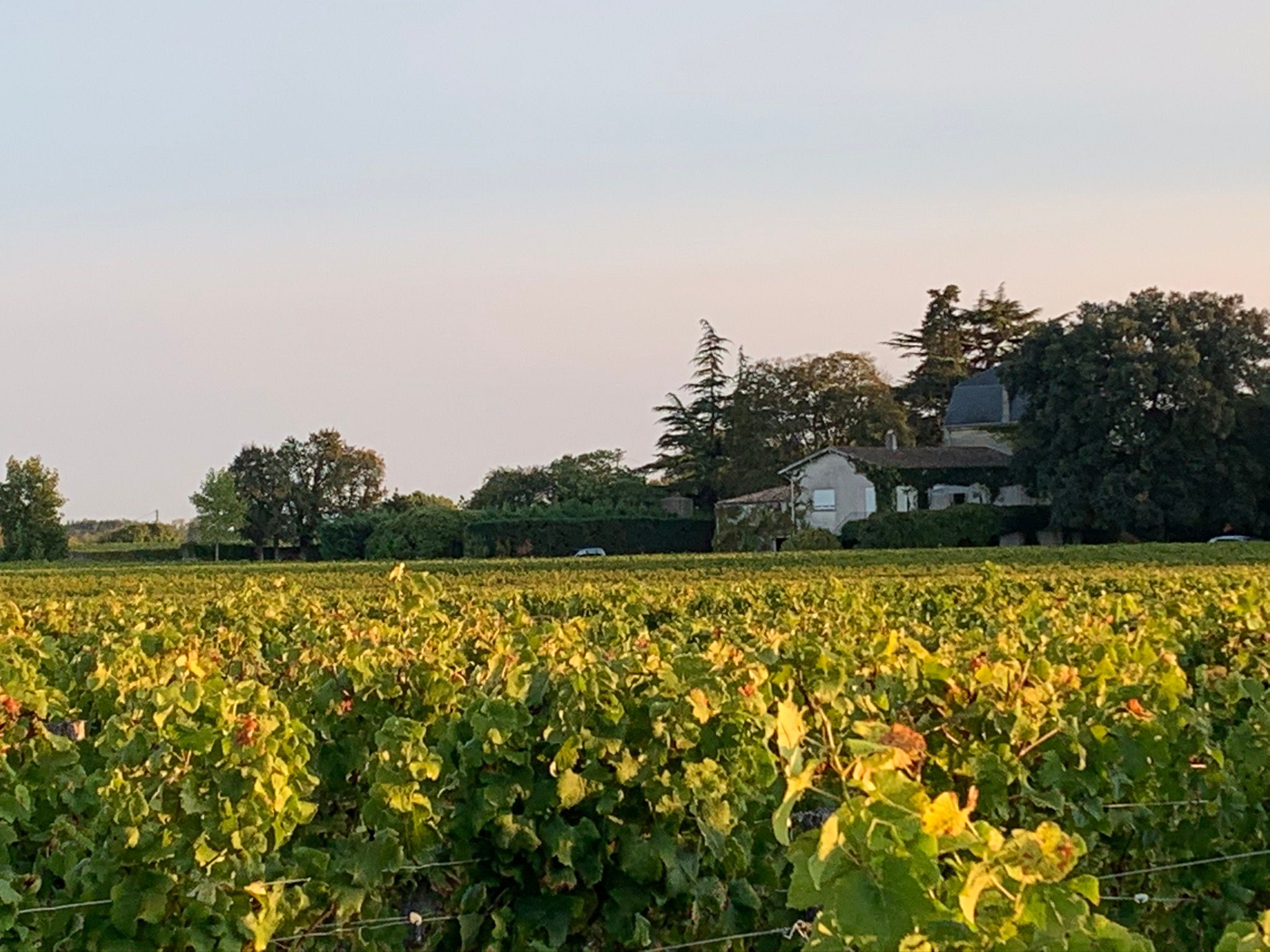 Château Liot