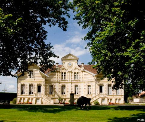 Château Maucaillou — photo 6