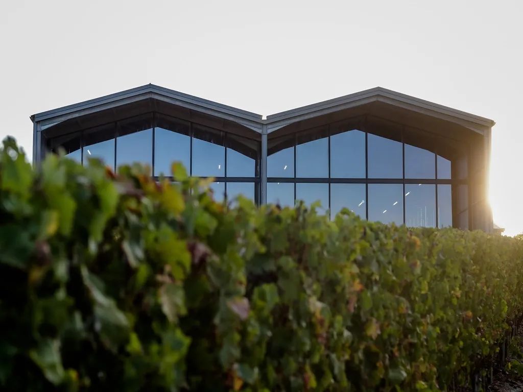Bâtiment moderne avec façade en verre et charpente métallique noire, surplombant un vignoble, au Château Lauduc à Bordeaux