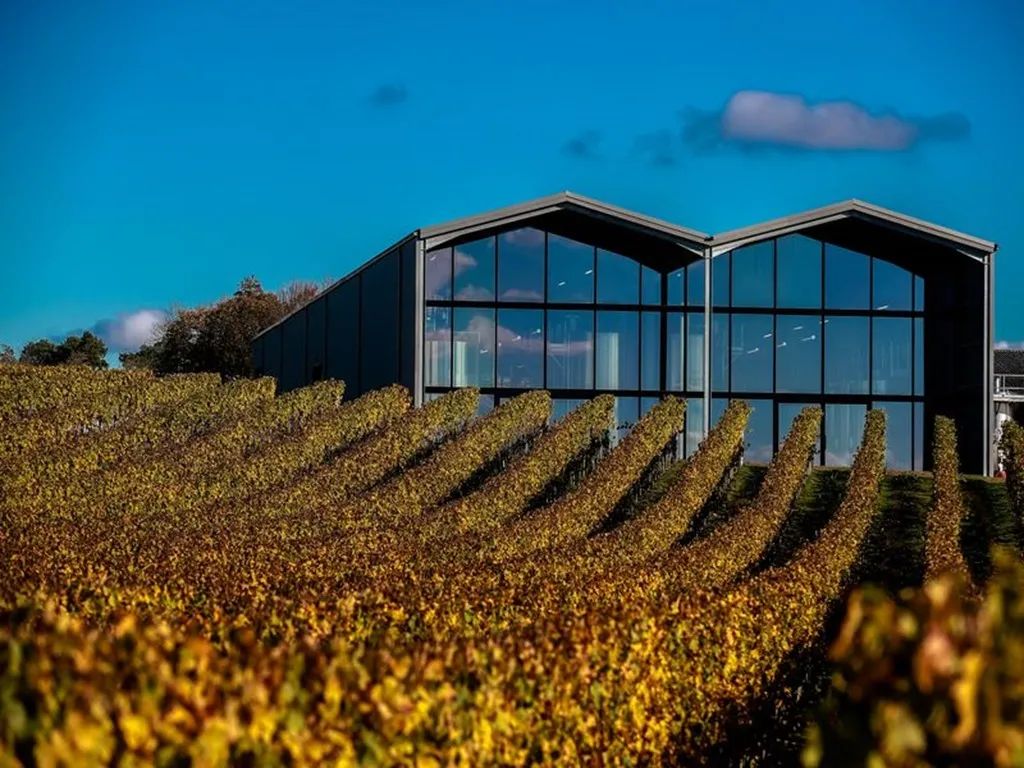 Château Lauduc - Bordeaux Supérieur