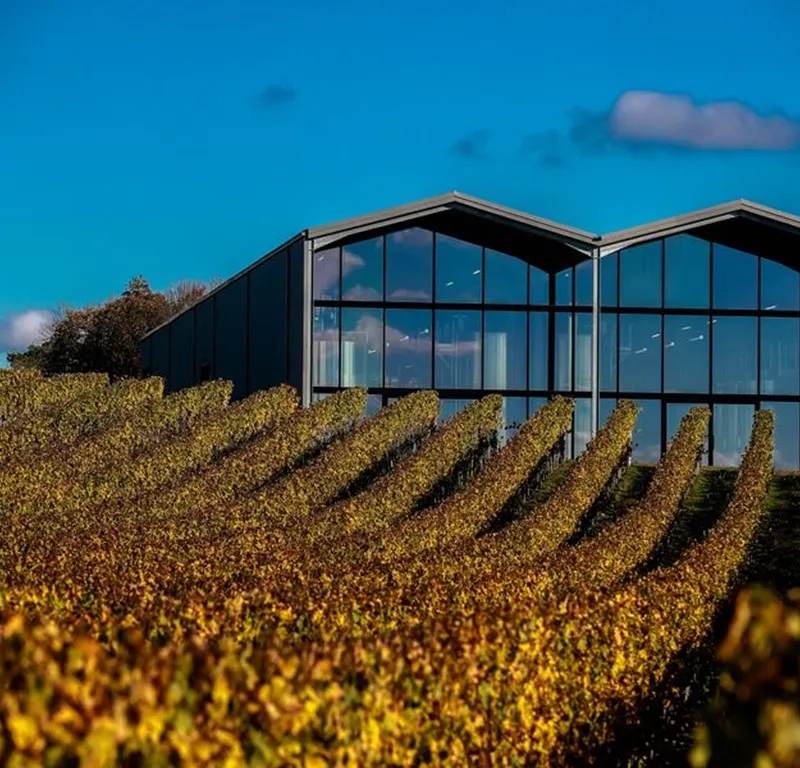 Château Lauduc - Bordeaux Supérieur