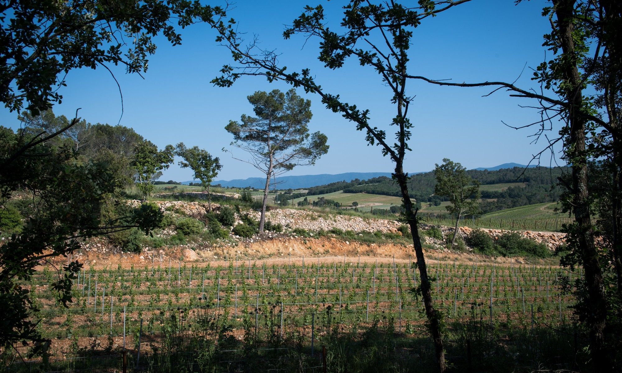 Château la Bernarde — photo 2