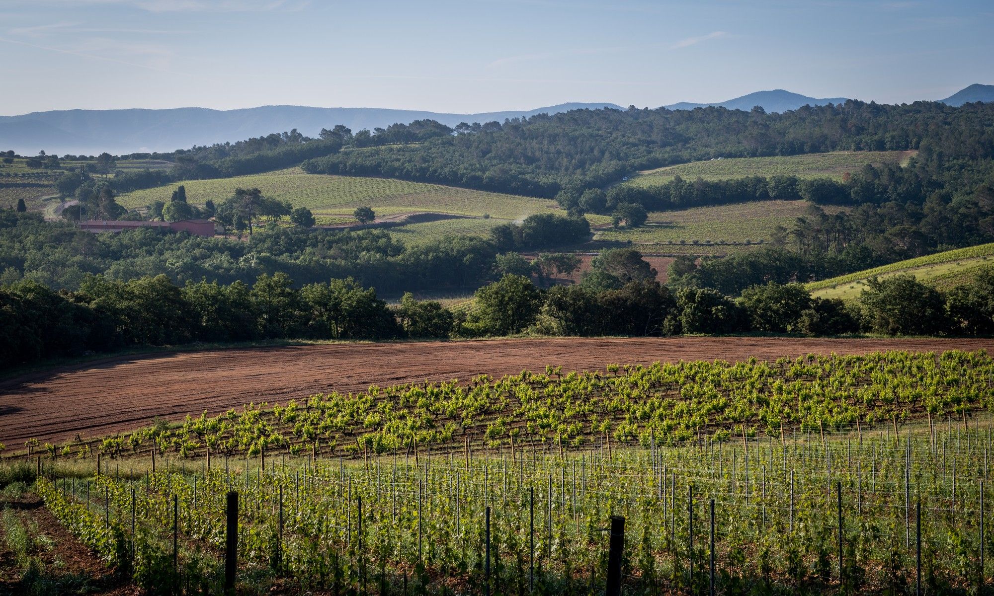 Château la Bernarde — photo 1