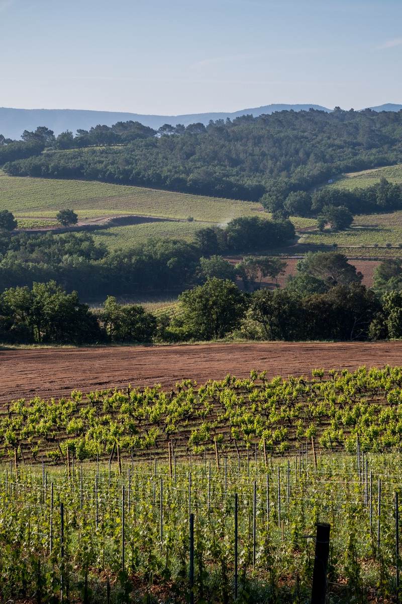 Château la Bernarde — photo principale