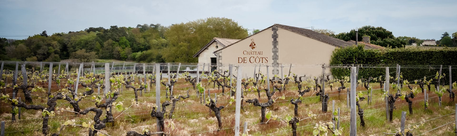 Vignes et facade du Château de Côts