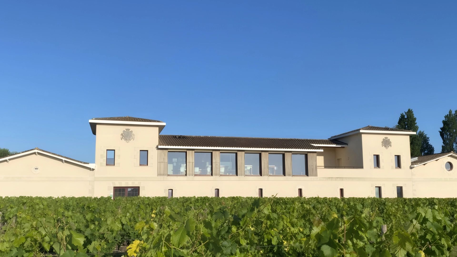 Château Croix de Bertinat — photo 11