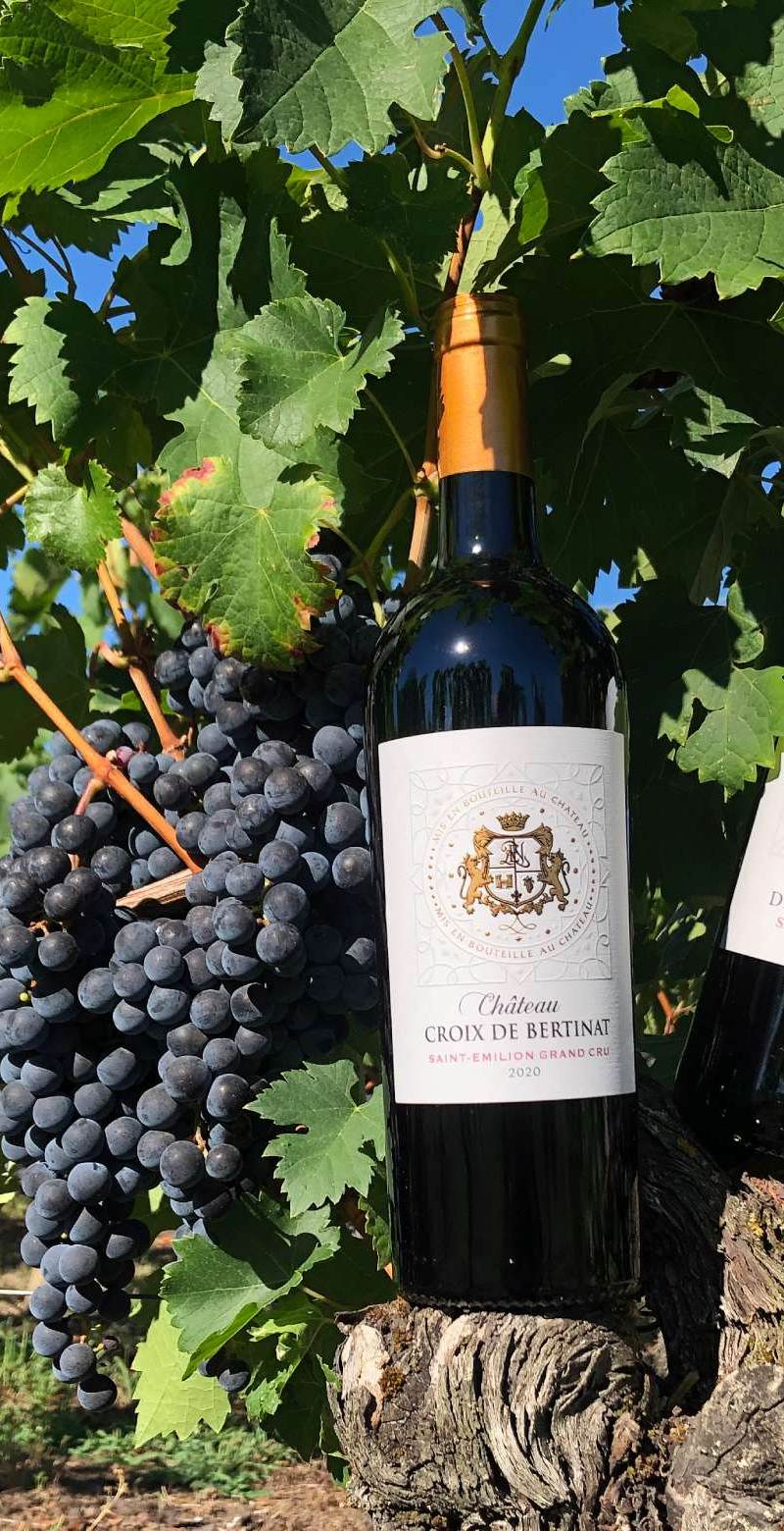 Château Croix de Bertinat - Saint-Émilion Grand Cru