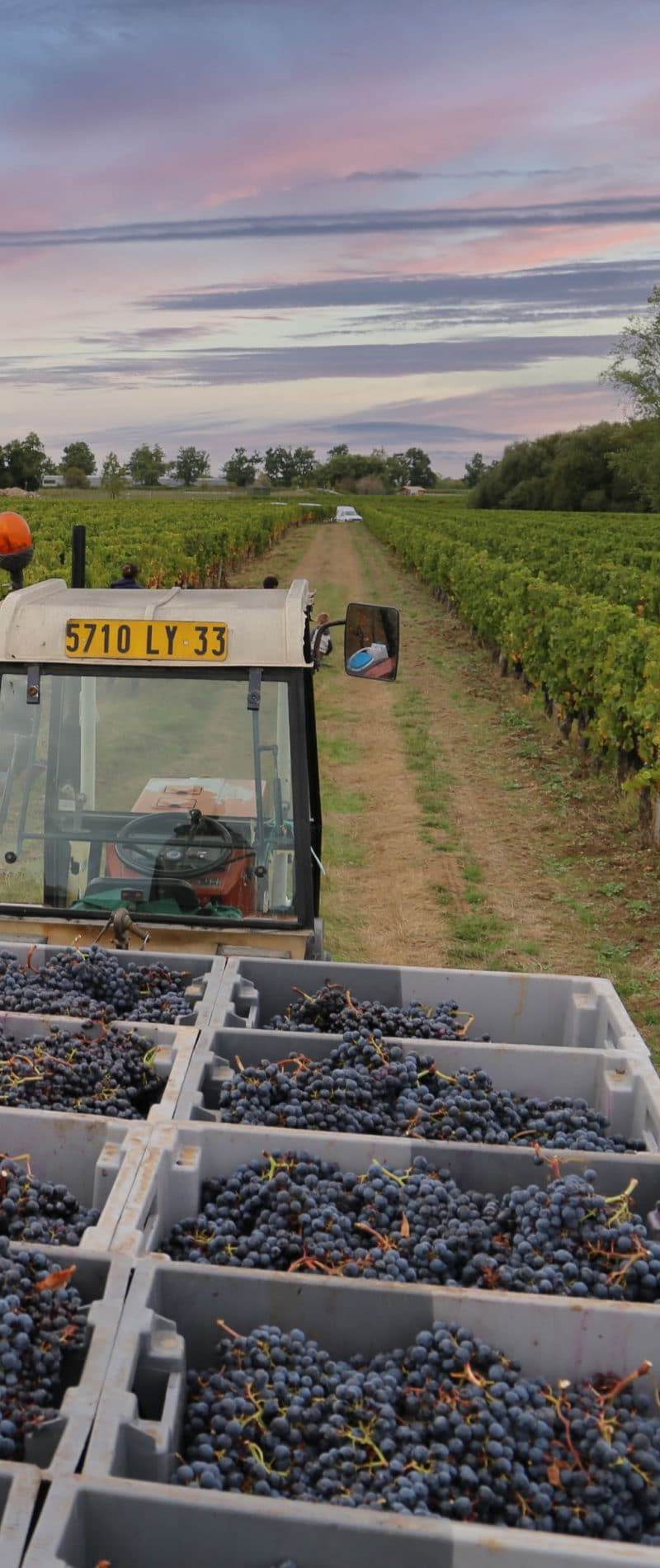 Domaine Champs de Lalande — photo principale