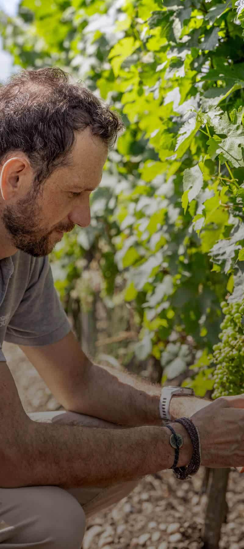 Pierre Estorges - Responsable viticole - Château La Garde - Pessac Leognan