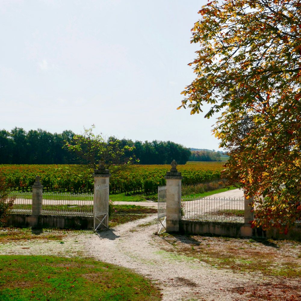 Château la Gorce — photo 3