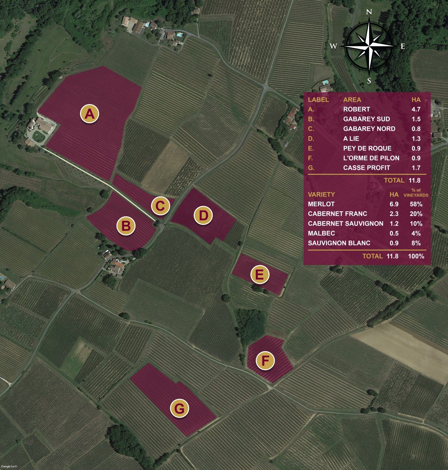 Château la Roberterie — photo 10