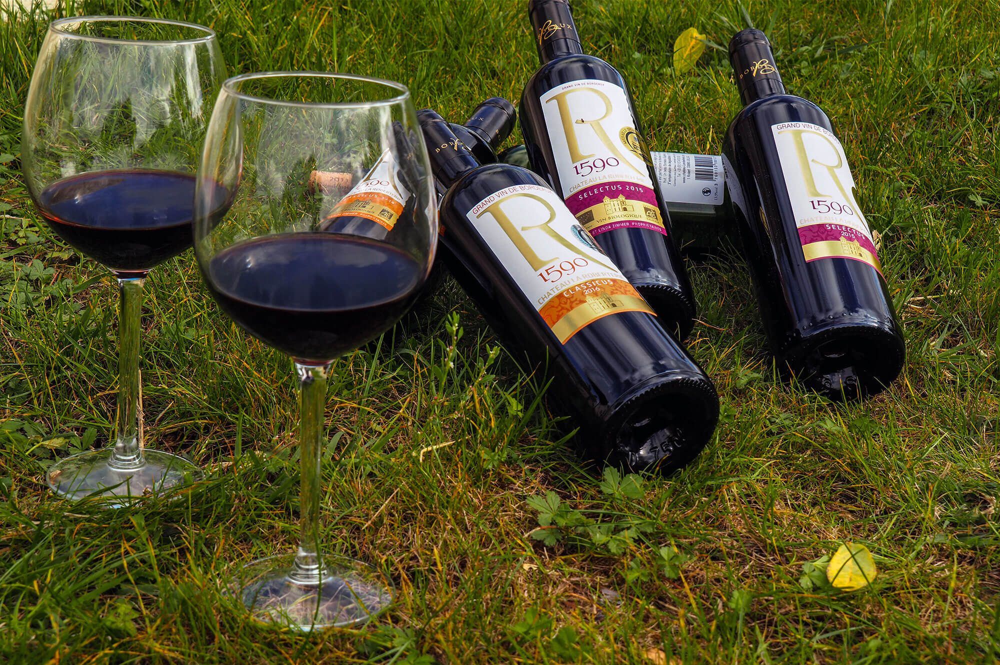 Château la Roberterie - Bordeaux Supérieur
