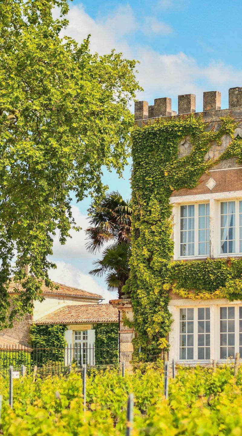Château d'Arche - Sauternes