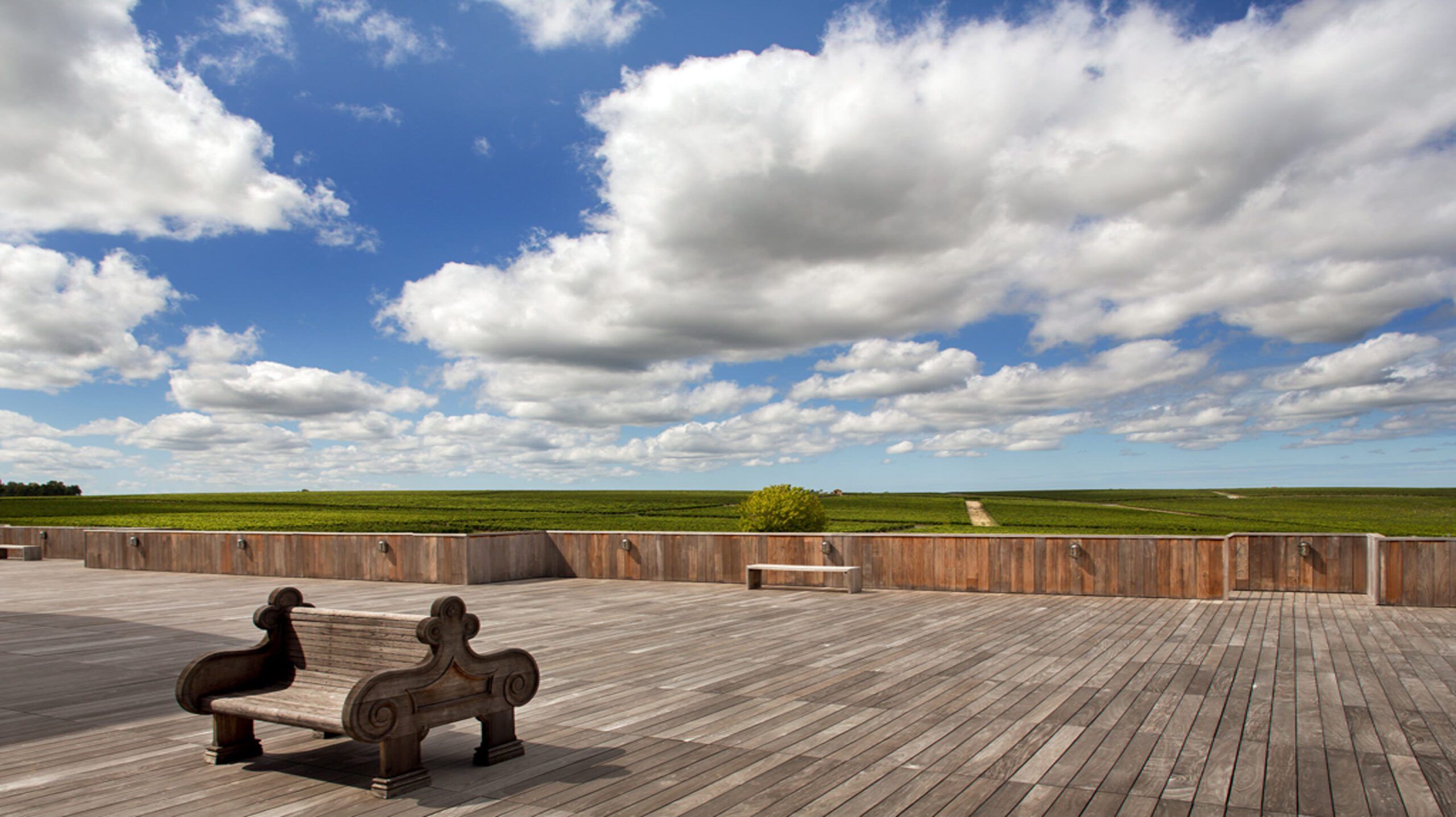 Château Clerc Milon - Pauillac
