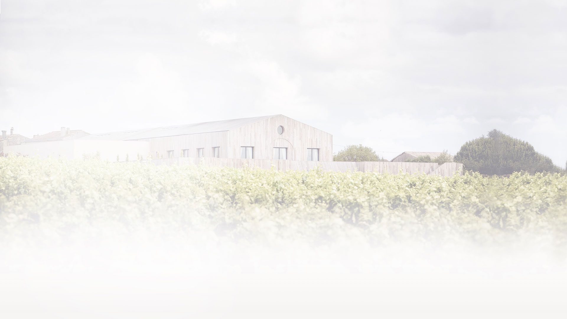 Château Clerc Milon — photo 2