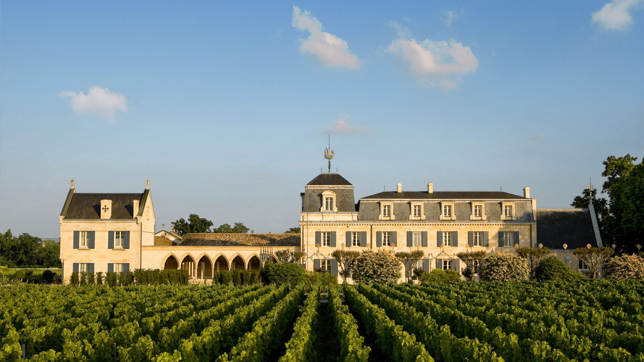 Château la Mission Haut-Brion — photo 3