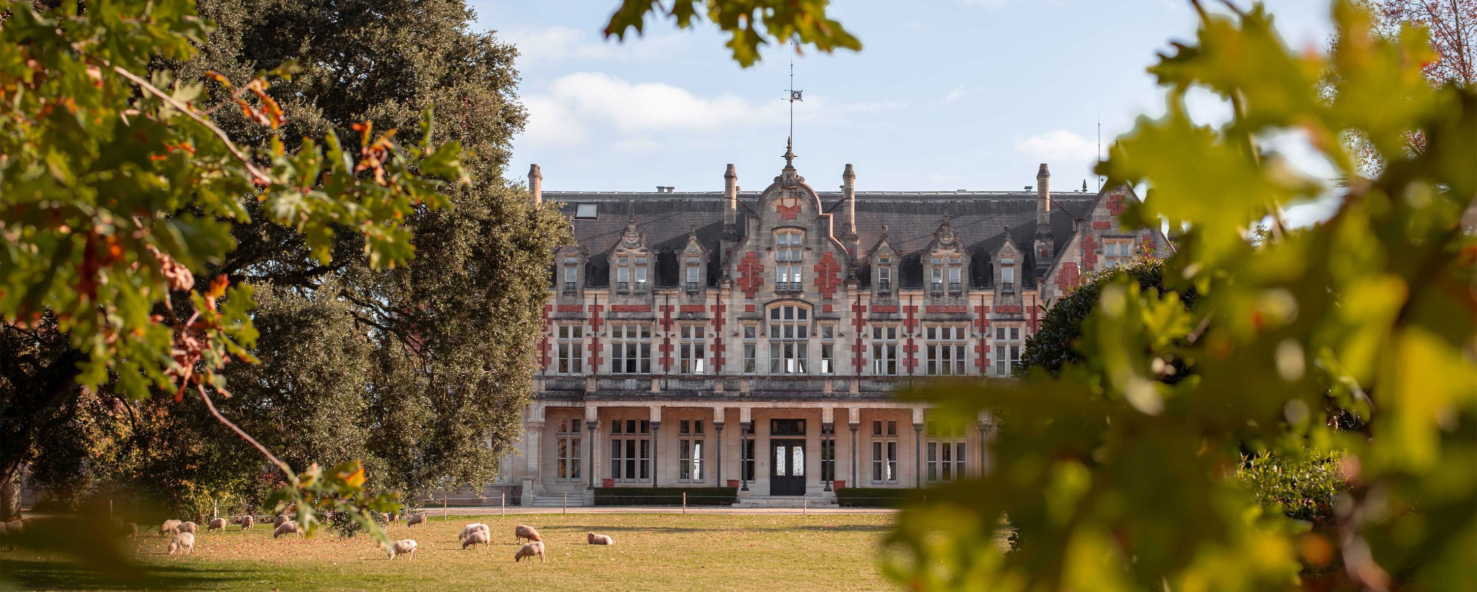 Château Cantenac Brown — photo 8