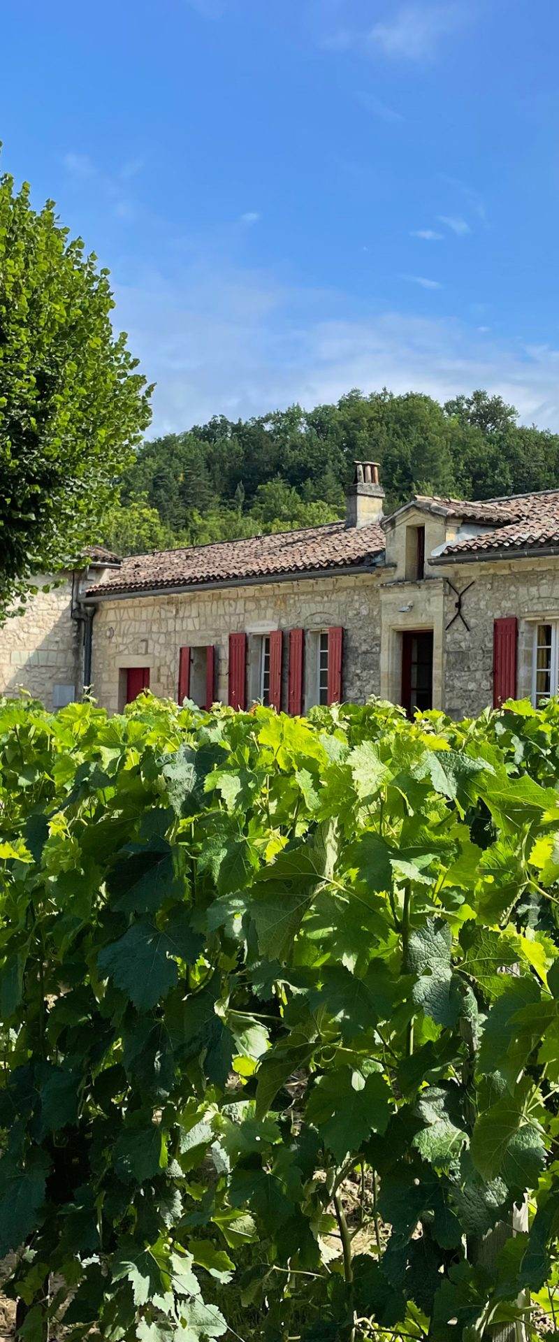 Château la Grangere — photo principale