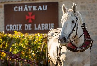 Château Croix de Labrie - Saint-Émilion Grand Cru