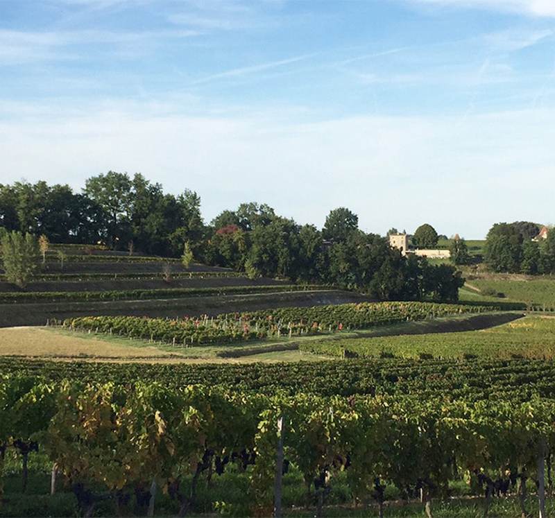 Château Le Rey