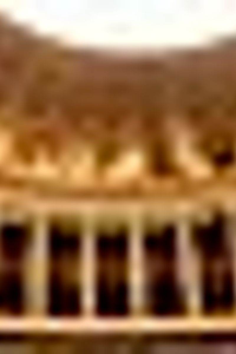 icône décorative