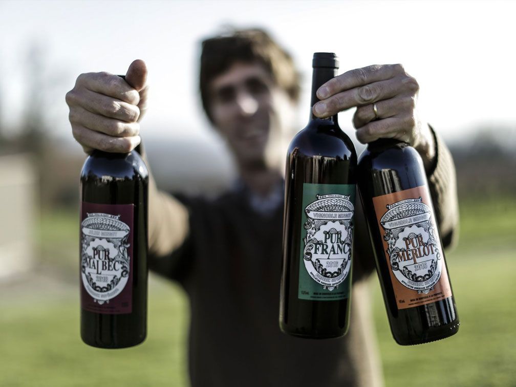 Vignoble Mingot — photo 4