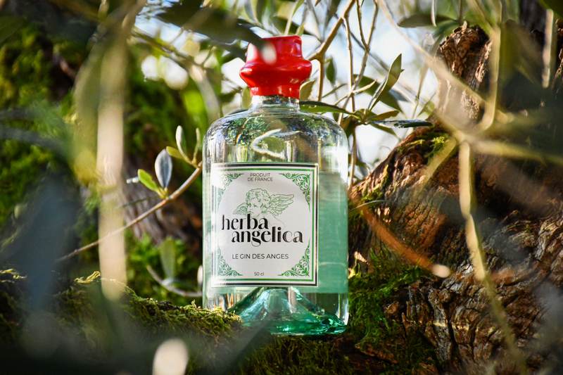 Château Angelica, Vignoble Confidentiel, Herba Angelica, le Gin des Anges - Bordeaux