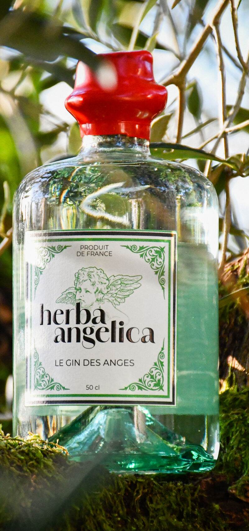 Château Angelica, Vignoble Confidentiel, Herba Angelica, le Gin des Anges — photo principale