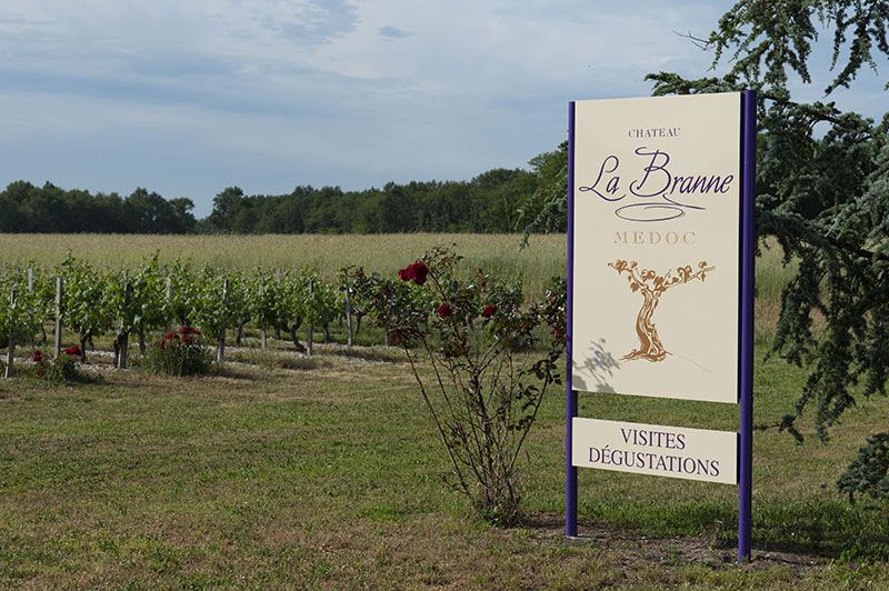 Château la Branne - Médoc