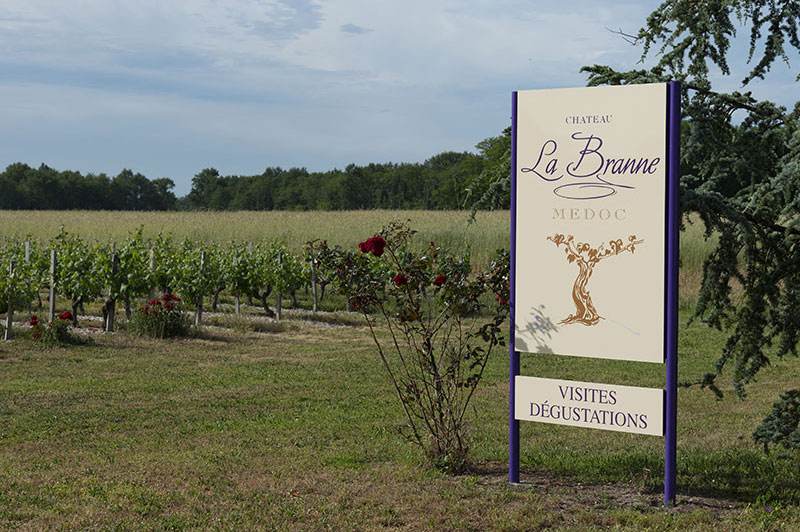Château la Branne — photo principale