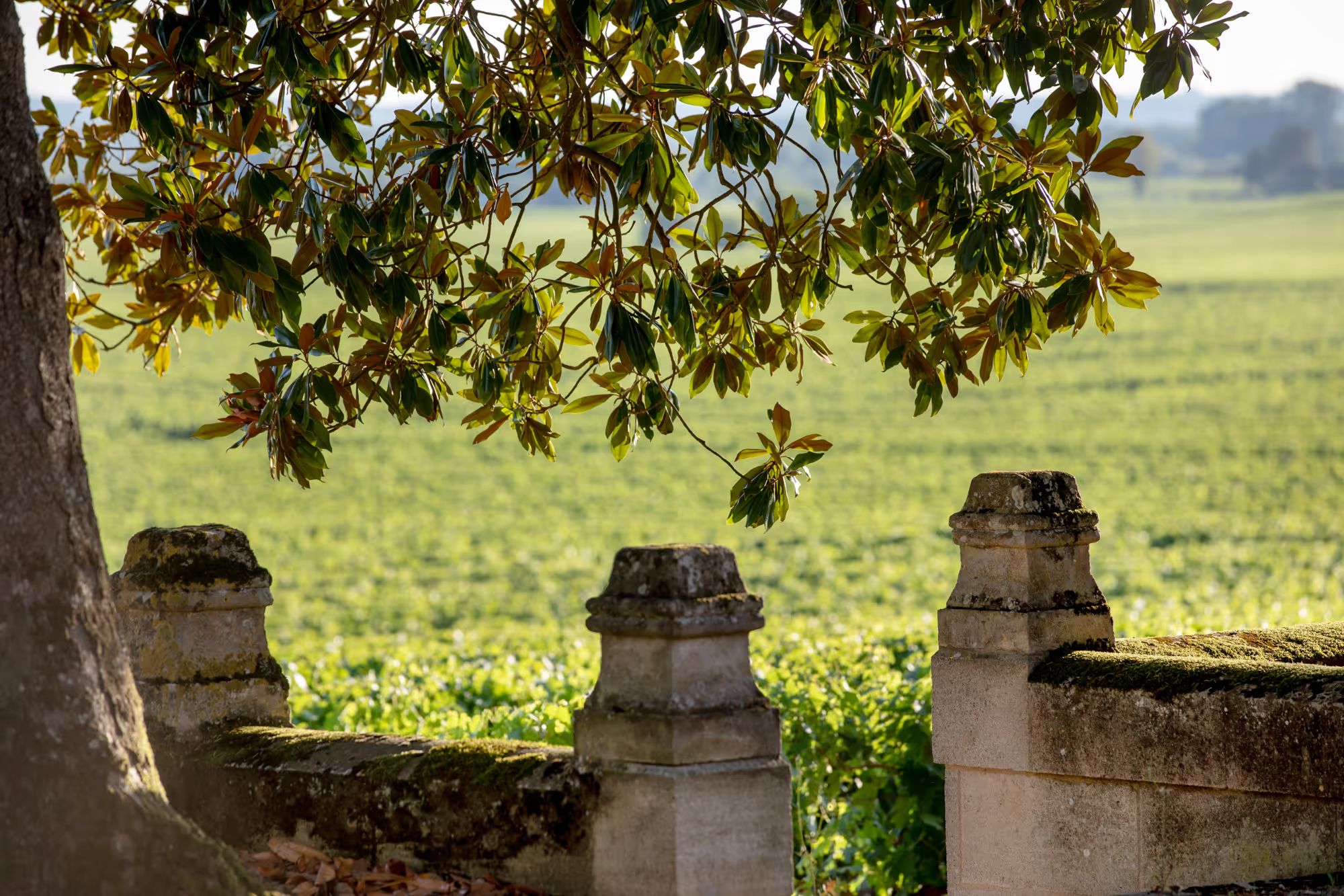 Château Daugay