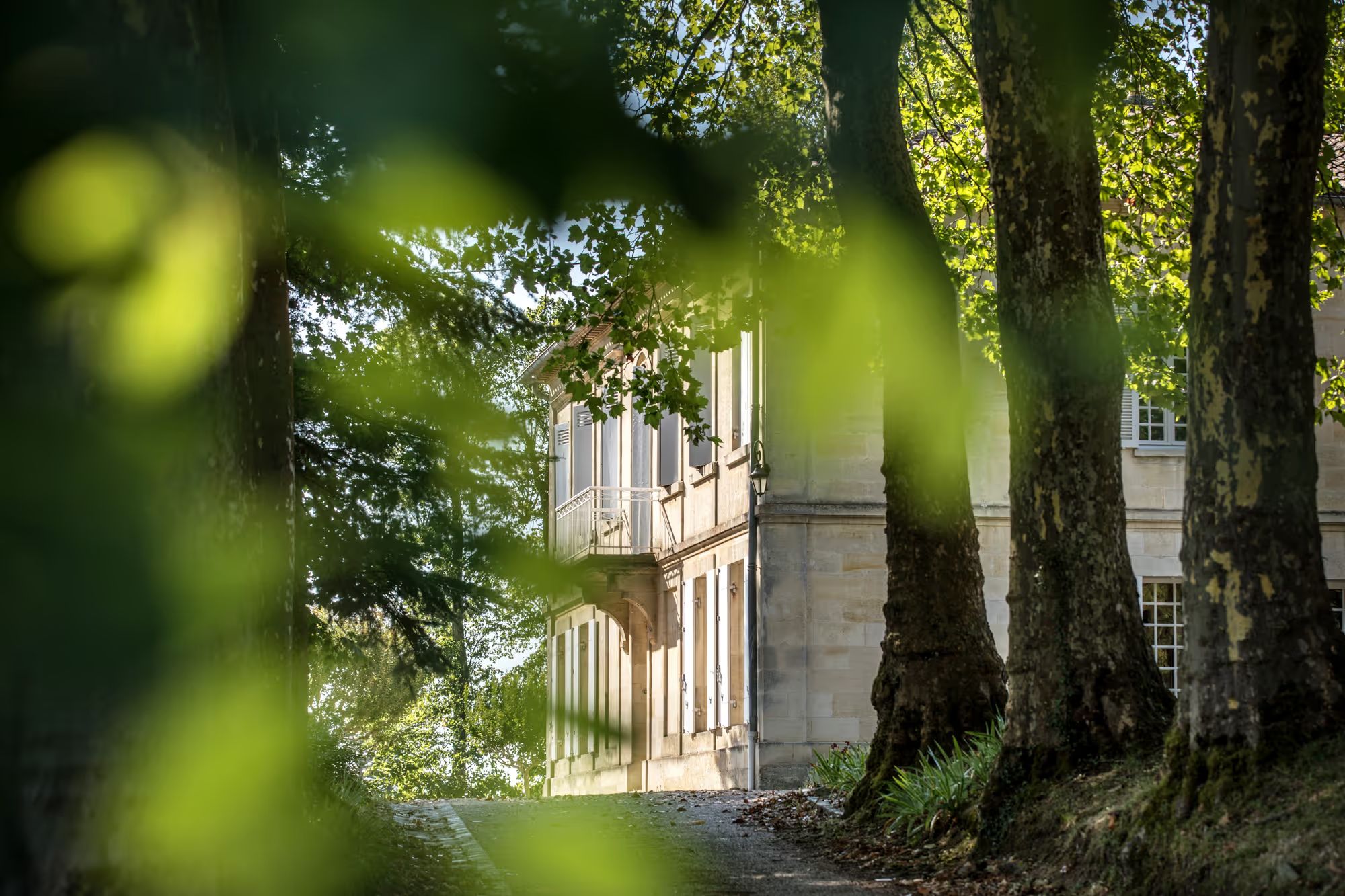 Château Daugay — photo 2