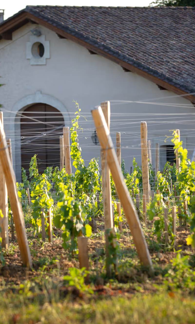 Château Daugay — photo principale
