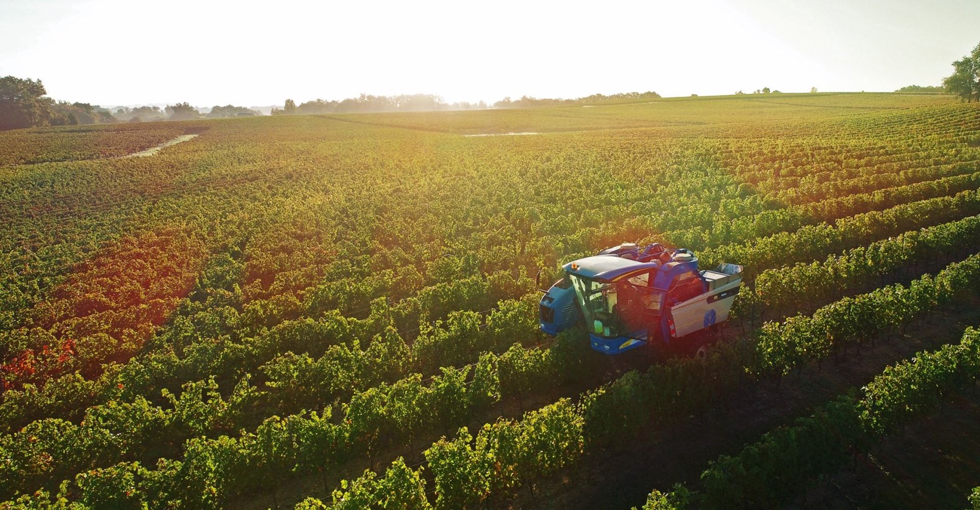 Vignobles Nadau - Bordeaux