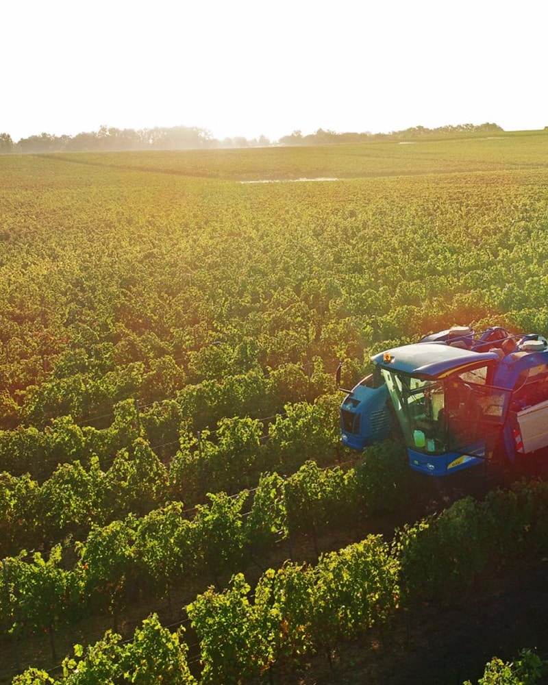 Vignobles Nadau — photo principale