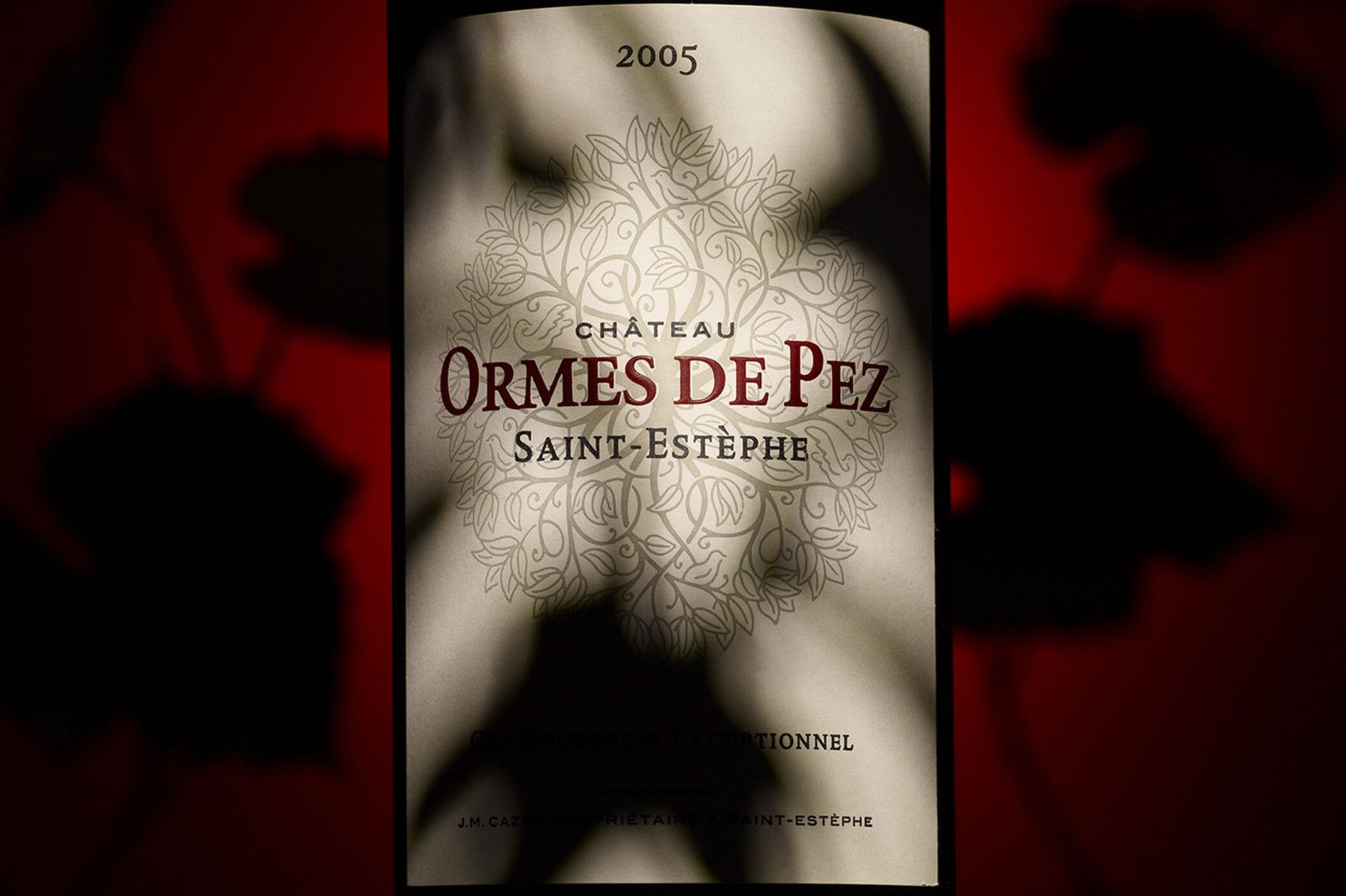Château les Ormes de Pez — photo 2
