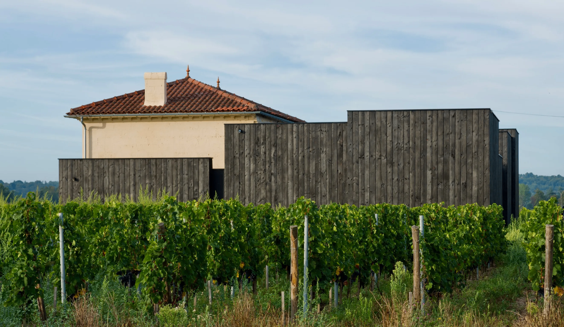 Château Edmus - Saint-Émilion Grand Cru