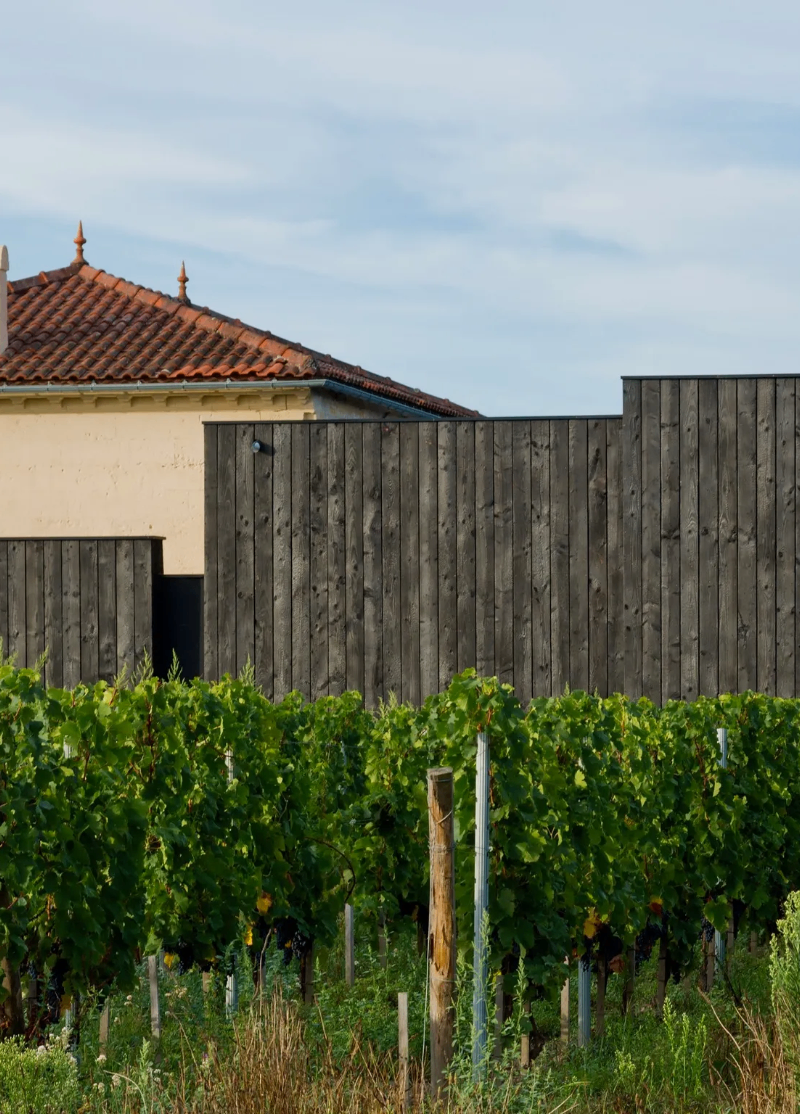 Château Edmus - Saint-Émilion Grand Cru