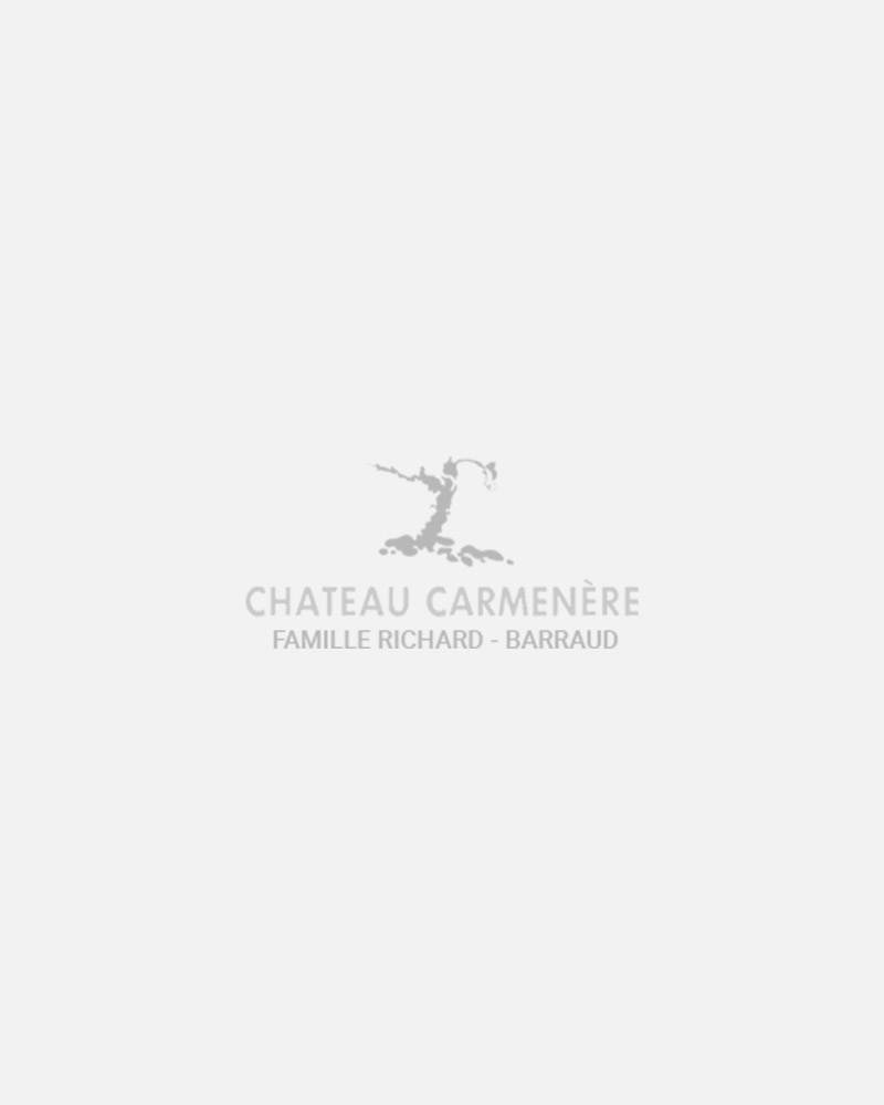 Château Carmenère — photo principale