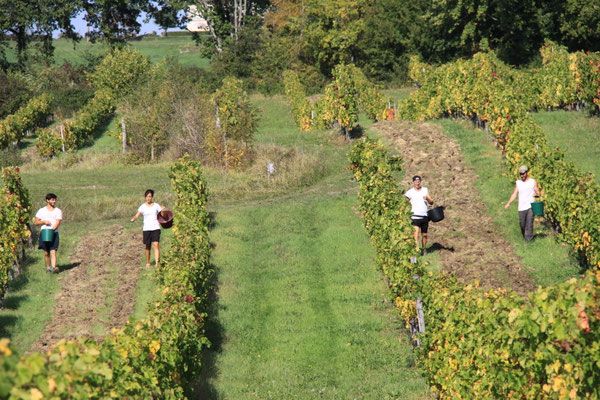 Château Mazeris Bellevue — photo 7
