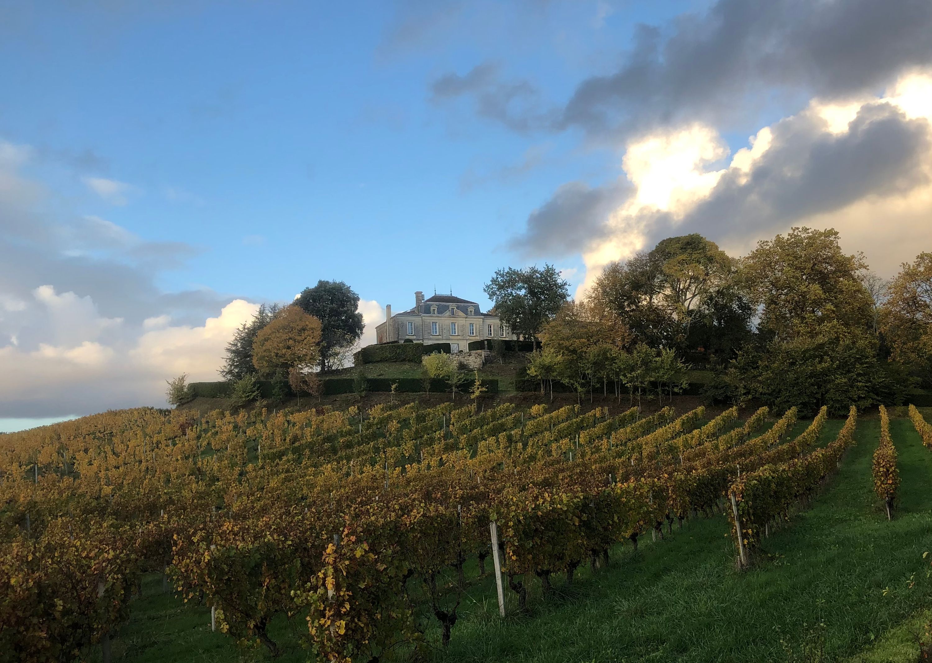 Château Mazeris Bellevue - Canon-Fronsac