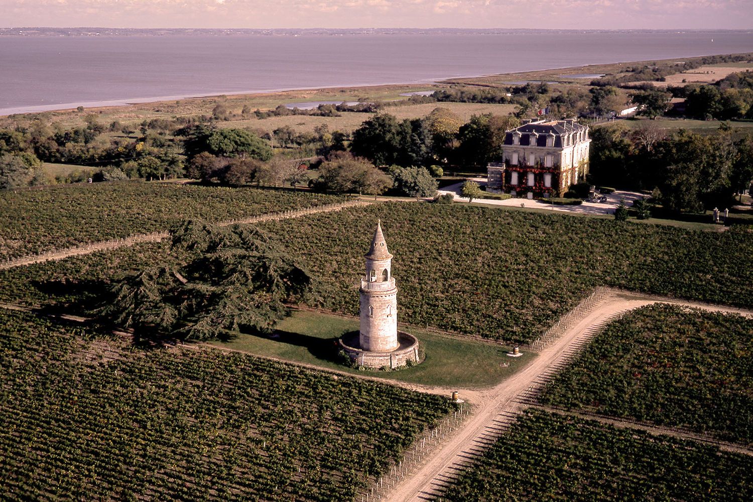 Château la Tour de By - Médoc