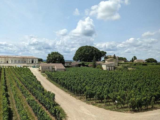 Château Joanin Bécot - Castillon Côtes de Bordeaux