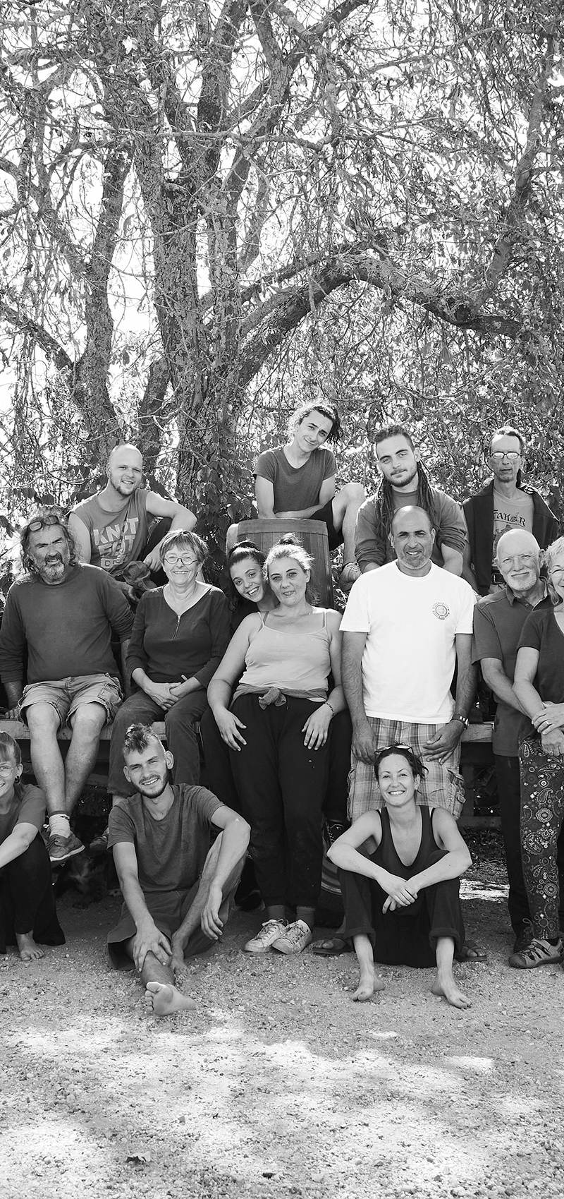 Groupe de 28 personnes posant devant un arbre et un tracteur en plein air par une journée ensoleillée.